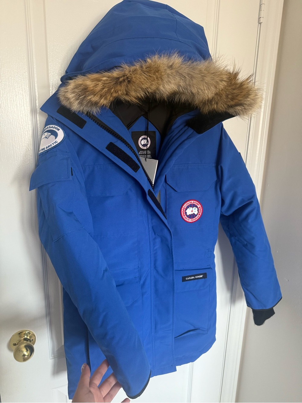 Canada Goose expedition parka with fur New with tag Blue Women's